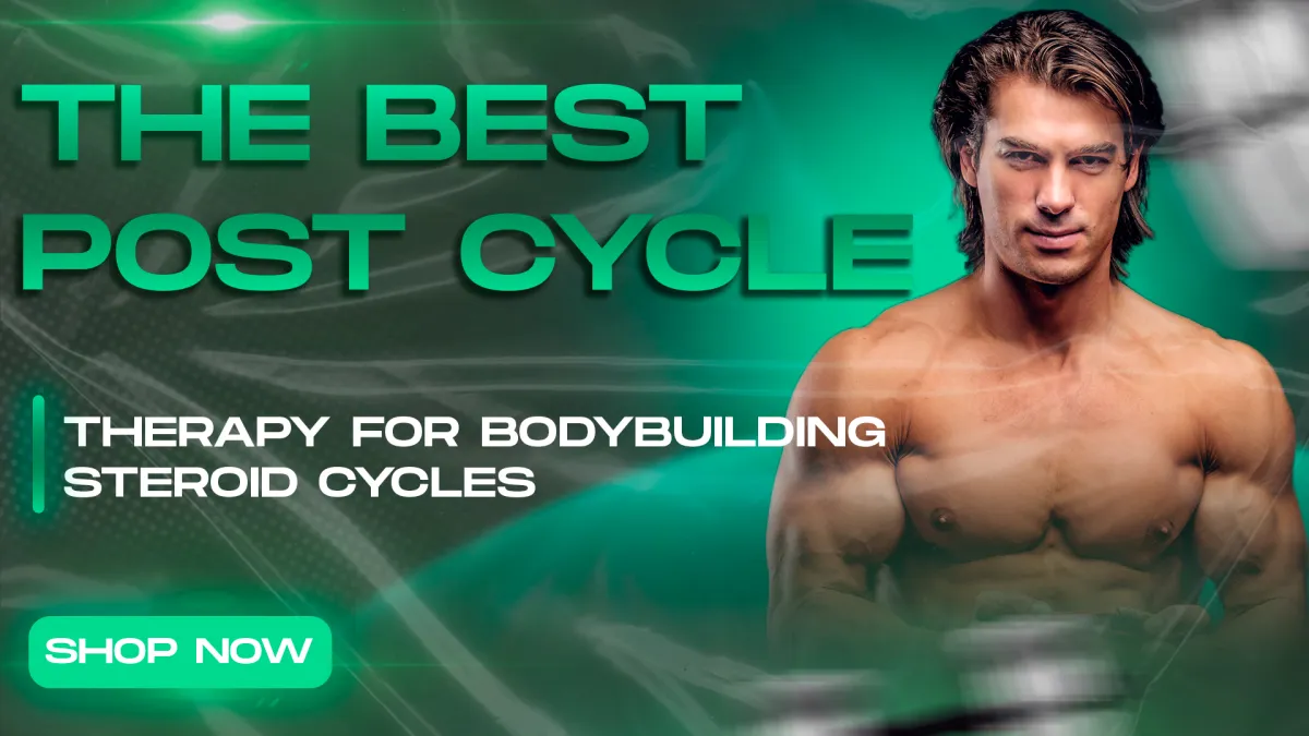The best post cycle therapy for bodybuilding steroid cycles — shop PCT